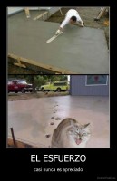 EL ESFUERZO - casi nunca es apreciado
