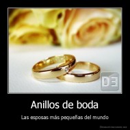 Anillos de boda - Las esposas más pequeñas del mundo