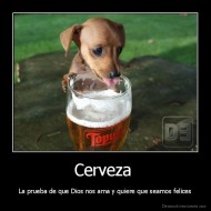 Cerveza  - La prueba de que Dios nos ama y quiere que seamos felices