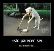 Esto parecen ser - Las elecciones...