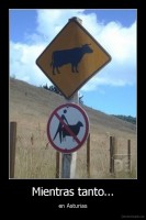 Mientras tanto... - en Asturias