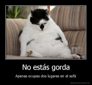 No estás gorda - Apenas ocupas dos lugares en el sofá