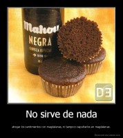 No sirve de nada - ahogar los sentimientos con magdalenas, ni tampoco sepultarlos en magdalenas.