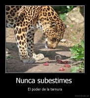 Nunca subestimes  - El poder de la ternura