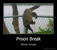 Prison Break - Edición tortuga