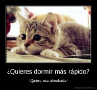 ¿Quieres dormir más rápido? - ¡Quiero esa almohada!