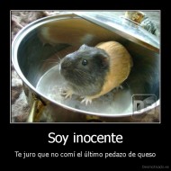 Soy inocente - Te juro que no comí el último pedazo de queso