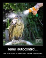 Tener autocontrol... - es la única manera de sobrevivir en un mundo lleno de idiotas