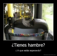 ¿Tienes hambre? - ¿ A que estás esperando?