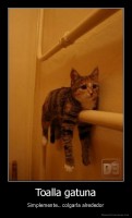 Toalla gatuna - Simplemente.. colgarla alrededor