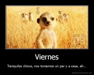 Viernes - Tranquilos chicos, nos tomamos un par y a casa, eh...