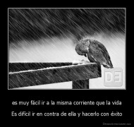 es muy fácil ir a la misma corriente que la vida - Es difícil ir en contra de ella y hacerlo con éxito