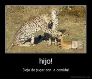 hijo! - Deja de jugar con la comida!